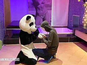 Job As Party Mascot Being Played By Client